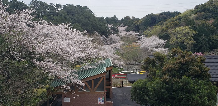 高橋の休日6