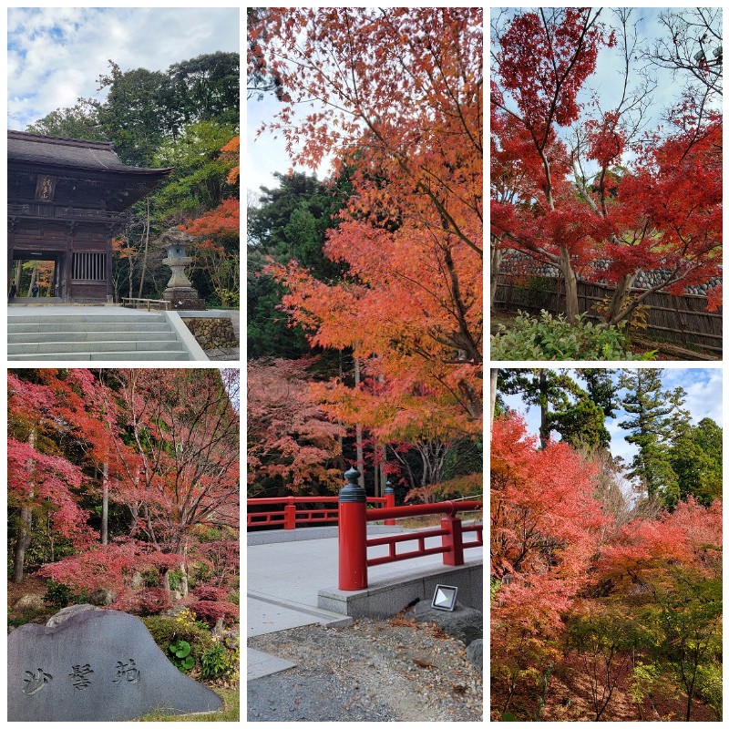 高橋の休日15