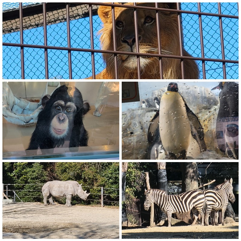 高橋の休日16