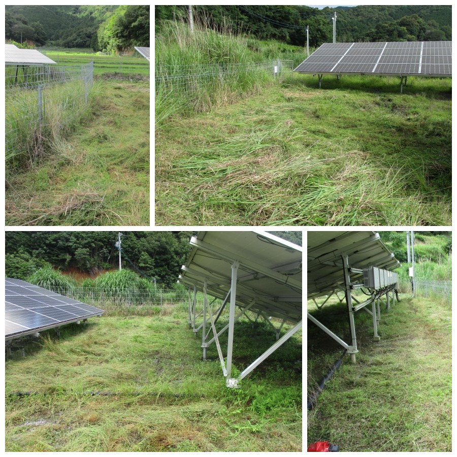 草刈り①